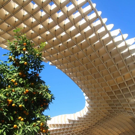 Galería 5