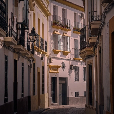 Galería 7